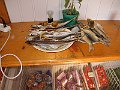 foto 508